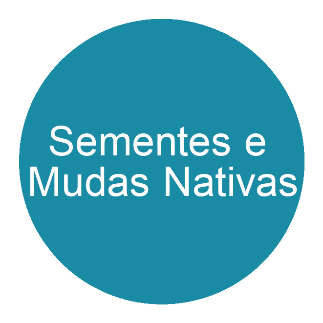sementes-e-mudas-nativas