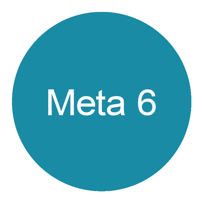Meta 6